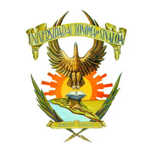 IDSD-- 16A8W1D9Q9D-16fs51fwe (1)
